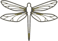 Logo Magnificent Dragonflies